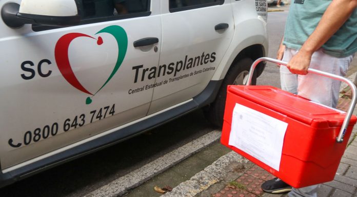 SANTA CATARINA LIDERA DOAÇÃO DE ÓRGÃOS NO BRASIL NO “SETEMBRO VERDE”