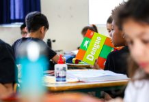 GOVERNO DE SANTA CATARINA LANÇA MOBILIZAÇÃO NAS ESCOLAS PARA COMBATER A DENGUE