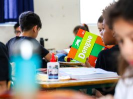 GOVERNO DE SANTA CATARINA LANÇA MOBILIZAÇÃO NAS ESCOLAS PARA COMBATER A DENGUE