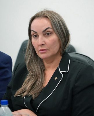 DEPUTADA DANIELA REINEHR DEFENDE CRÉDITO AMPLIADO E MENOS BUROCRACIA PARA O PRODUTOR RURAL