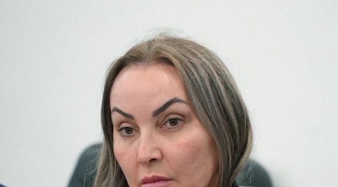 DEPUTADA DANIELA REINEHR DEFENDE CRÉDITO AMPLIADO E MENOS BUROCRACIA PARA O PRODUTOR RURAL