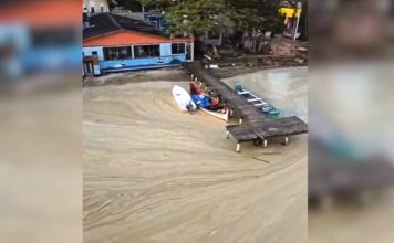 ANÁLISE DA PREFEITURA DE FLORIANÓPOLIS APONTA QUE FENÔMENO NA LAGOA DA CONCEIÇÃO É NATURAL