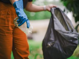AÇÃO COORDENADA ENTRE GOVERNO DE SANTA CATARINA E MUNICÍPIOS: DIA D CONTRA O AEDES AEGYPTI NESTE SÁBADO