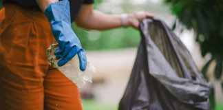 AÇÃO COORDENADA ENTRE GOVERNO DE SANTA CATARINA E MUNICÍPIOS: DIA D CONTRA O AEDES AEGYPTI NESTE SÁBADO