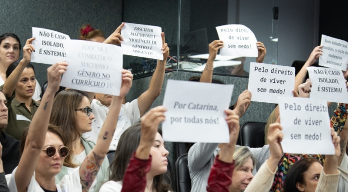 “CARTA POR CATARINA” TRAZ ENCAMINHAMENTOS DA AUDIÊNCIA SOBRE SEGURANÇA E PROTEÇÃO ÀS MULHERES