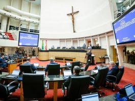 ALESC APROVA COMUNICAÇÃO OBRIGATÓRIA À DEFENSORIA SOBRE NASCIMENTOS SEM IDENTIFICAÇÃO DE PATERNIDADE