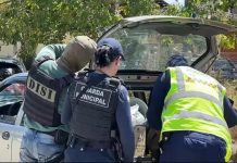 FLORIANÓPOLIS INTENSIFICA FISCALIZAÇÃO CONTRA COMÉRCIO AMBULANTE IRREGULAR NAS PRAIAS DO NORTE DA ILHA