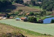 COOPERA AGRO SC: GOVERNO LANÇA PROGRAMA DE R$ 1 BILHÃO PARA IMPULSIONAR CRÉDITO E FORTALECER COOPERATIVAS