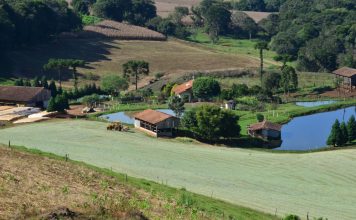 COOPERA AGRO SC: GOVERNO LANÇA PROGRAMA DE R$ 1 BILHÃO PARA IMPULSIONAR CRÉDITO E FORTALECER COOPERATIVAS
