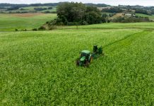 COOPERA AGRO SC: ALESC APROVA PROGRAMA DE R$ 1 BILHÃO EM CRÉDITO E TRANSFORMAÇÃO NO AGRONEGÓCIO CATARINENSE