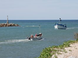 ALESC DEBATE OBRAS URGENTES NO CANAL DO LINGUADO E RISCO PARA PESCA E TURISMO EM BARRA DO SUL