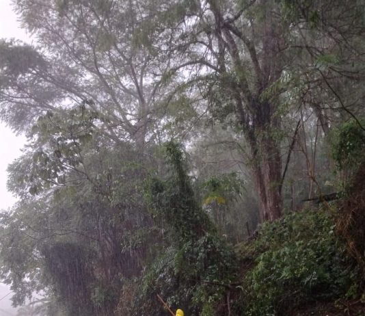 FLORIANÓPOLIS: CHUVAS AINDA NÃO ULTRAPASSARAM OS CHAMADOS PERÍODOS CRÍTICOS