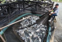 ALESC RECEBE NOVOS PROJETOS DE LEI E PEC SOBRE CONSUMO, INCLUSÃO, SAÚDE, EDUCAÇÃO E AGROPECUÁRIA