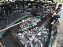 ALESC RECEBE NOVOS PROJETOS DE LEI E PEC SOBRE CONSUMO, INCLUSÃO, SAÚDE, EDUCAÇÃO E AGROPECUÁRIA