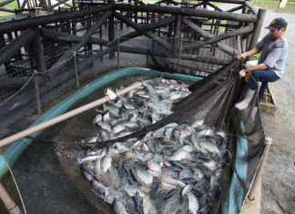 ALESC RECEBE NOVOS PROJETOS DE LEI E PEC SOBRE CONSUMO, INCLUSÃO, SAÚDE, EDUCAÇÃO E AGROPECUÁRIA