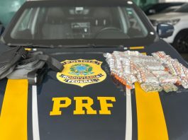 PRF APREENDE QUASE 500 MEDICAMENTOS ILEGAIS EM VEÍCULO NA BR-101, EM ITAJAÍ