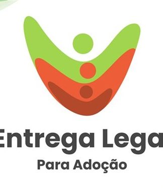 TJSC MODERNIZA PROTOCOLO PARA ADOÇÃO E REDUZ BUROCRACIA PARA GARANTIR PROTEÇÃO À MULHER E À CRIANÇA
