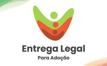 TJSC MODERNIZA PROTOCOLO PARA ADOÇÃO E REDUZ BUROCRACIA PARA GARANTIR PROTEÇÃO À MULHER E À CRIANÇA