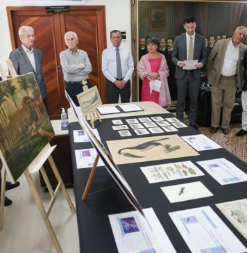 ALESC RECEBE ACERVO HISTÓRICO COM 400 PEÇAS QUE NARRAM A TRANSFORMAÇÃO DE DESTERRO EM FLORIANÓPOLIS