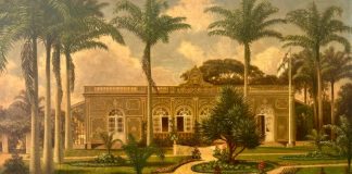 ALESC RECEBE ACERVO HISTÓRICO COM 400 OBRAS SOBRE A ANTIGA DESTERRO