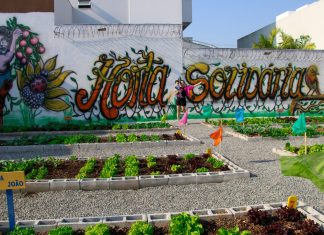 SÃO JOSÉ PROMOVE CURSO GRATUITO DE CONTROLE AGROECOLÓGICO DE PRAGAS PARA HORTAS COMUNITÁRIAS