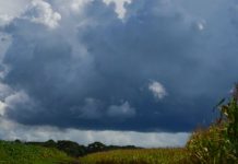 PRIMEIRO FINAL DE SEMANA DE 2026 TERÁ TEMPORAIS ISOLADOS, VIRADA NO TEMPO E MAR AGITADO EM SANTA CATARINA