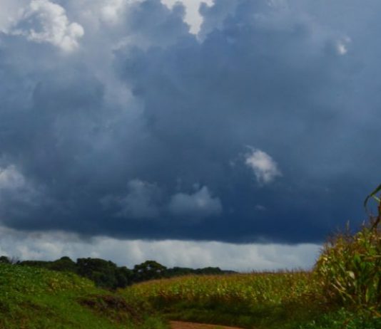 PRIMEIRO FINAL DE SEMANA DE 2026 TERÁ TEMPORAIS ISOLADOS, VIRADA NO TEMPO E MAR AGITADO EM SANTA CATARINA