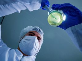 PROFISSIONAIS COM ENSINO SUPERIOR TÊM TAXA DE DESOCUPAÇÃO DE APENAS 1,2% EM SANTA CATARINA