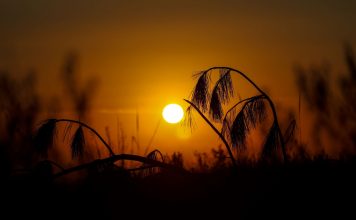 FIM DE SEMANA SERÁ DE SOL E TEMPO FIRME EM SANTA CATARINA