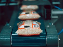 MERENDA ESCOLAR, DIREITOS SOCIAIS E PATRIMÔNIO CULTURAL PAUTAM OS PRIMEIROS PROJETOS DE 2026 NA ALESC