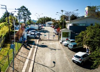 HOSPITAL VETERINÁRIO MUNICIPAL DE FLORIANÓPOLIS VAI SE CHAMAR CÃO ORELHA
