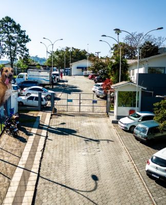 HOSPITAL VETERINÁRIO MUNICIPAL DE FLORIANÓPOLIS VAI SE CHAMAR CÃO ORELHA