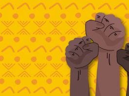 INCLUSÃO ELEITORAL IMPULSIONA CRESCIMENTO DA REPRESENTAÇÃO INDÍGENA EM SANTA CATARINA