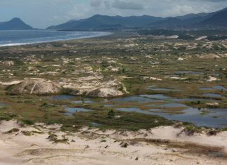 PREFEITURA PUBLICA PLANOS DE MANEJO DE QUATRO UNIDADES DE CONSERVAÇÃO EM FLORIANÓPOLIS