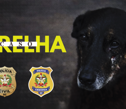 POLÍCIA CIVIL CONCLUI INVESTIGAÇÃO SOBRE MORTE DO CÃO ORELHA E MAUS-TRATOS AO CÃO CARAMELO E PEDE INTERNAÇÃO DE ADOLESCENTE