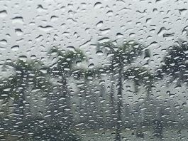TEMPORAIS E CHUVA PERSISTENTE MARCAM O FIM DE SEMANA EM SC