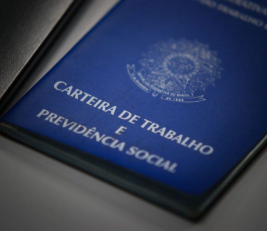 SANTA CATARINA TEM MAIS DE 7 MIL VAGAS DE EMPREGO ABERTAS PELO SINE