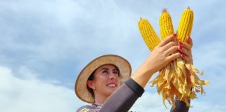 ANO INTERNACIONAL DA MULHER AGRICULTORA: EPAGRI ATUA PARA AMPLIAR GESTÃO FEMININA NO MEIO RURAL