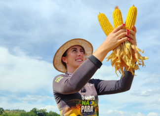 ANO INTERNACIONAL DA MULHER AGRICULTORA: EPAGRI ATUA PARA AMPLIAR GESTÃO FEMININA NO MEIO RURAL