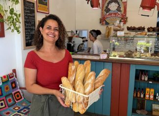 DIA DA MULHER: SANTA CATARINA TEM 490 MIL EMPRESAS COMANDADAS POR MULHERES