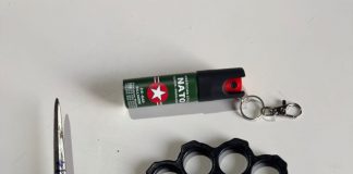 OPERAÇÃO SALVAGUARDA: POLÍCIA CIVIL AGE PARA IMPEDIR ATAQUES E DESARTICULAR APOLOGIA AO NAZISMO EM SC