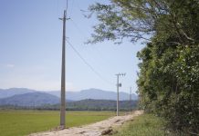 ENERGIA MAIS FORTE NO CAMPO: REDE TRIFÁSICA IMPULSIONA PRODUÇÃO RURAL NO SUL DE SANTA CATARINA