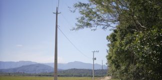 ENERGIA MAIS FORTE NO CAMPO: REDE TRIFÁSICA IMPULSIONA PRODUÇÃO RURAL NO SUL DE SANTA CATARINA