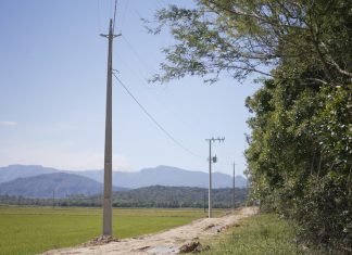 ENERGIA MAIS FORTE NO CAMPO: REDE TRIFÁSICA IMPULSIONA PRODUÇÃO RURAL NO SUL DE SANTA CATARINA