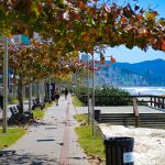 OUTONO DEVE REGISTRAR TEMPERATURAS ACIMA DA MÉDIA E AMPLA VARIAÇÃO TÉRMICA EM SANTA CATARINA