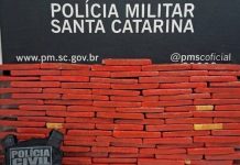 PMSC APREENDE MAIS DE 100 KG DE MACONHA EM OPERAÇÃO CONJUNTA NO OESTE DE SC