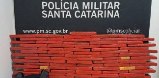PMSC APREENDE MAIS DE 100 KG DE MACONHA EM OPERAÇÃO CONJUNTA NO OESTE DE SC
