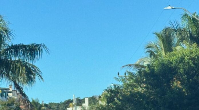 OPERAÇÃO DOSE EXTRA DA POLÍCIA CIVIL EXPÕE ESQUEMA DE ROUBO MILIONÁRIO CONTRA PLANO DE SAÚDE DE SERVIDORES EM SC