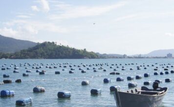 GOVERNO DE SC CRIA CRÉDITO EMERGENCIAL PARA SALVAR PRODUÇÃO DE OSTRAS E PROTEGER CADEIA ECONÔMICA DO LITORAL