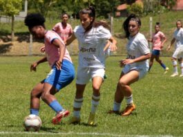 PACOTE DE PROJETOS NA ALESC AMPLIA DEBATE SOBRE SEGURANÇA, SAÚDE E DIREITOS SOCIAIS EM SANTA CATARINA